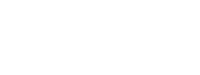 Bridge Lojistik logosu